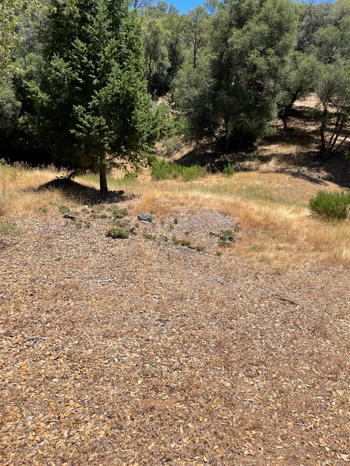 Photo of 1-Acres Bedford Ave in Placerville, CA