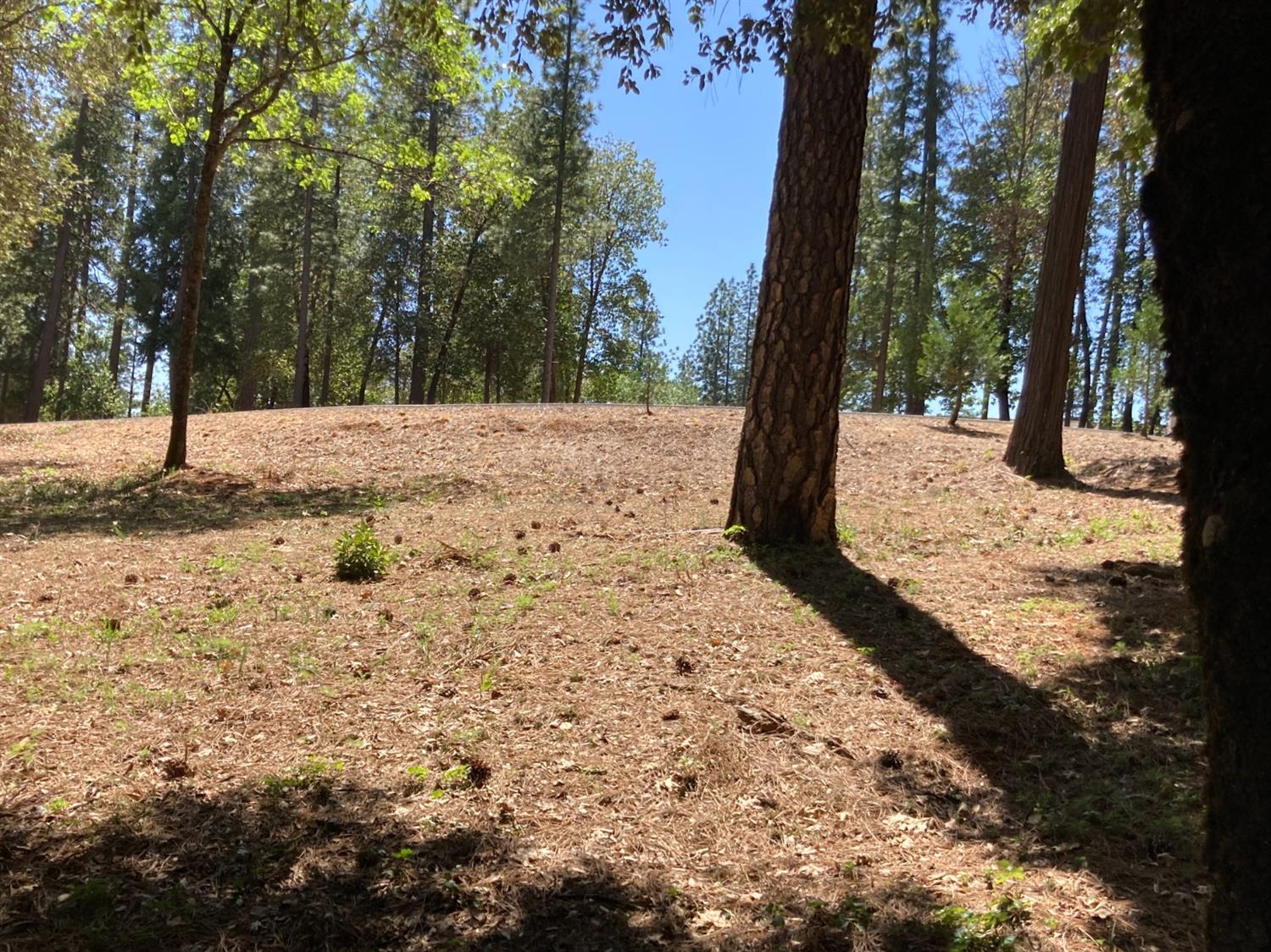 Photo of 10360 Buffington Ct in Nevada City, CA