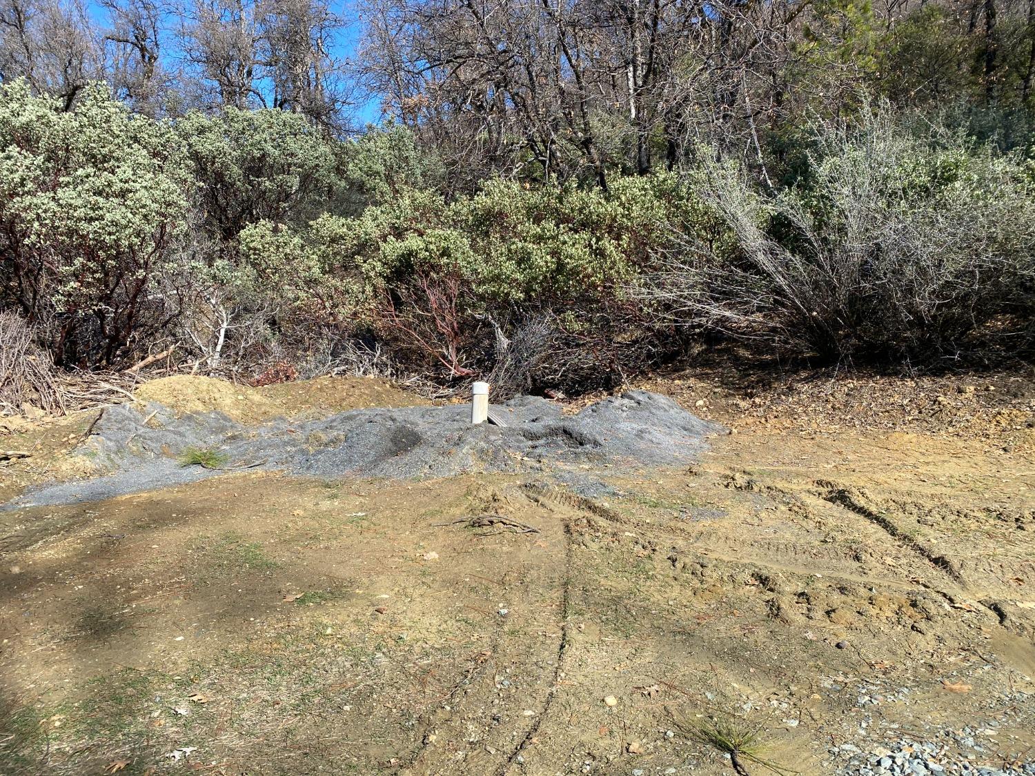 North Bloomfield Road, Nevada City, California image 10