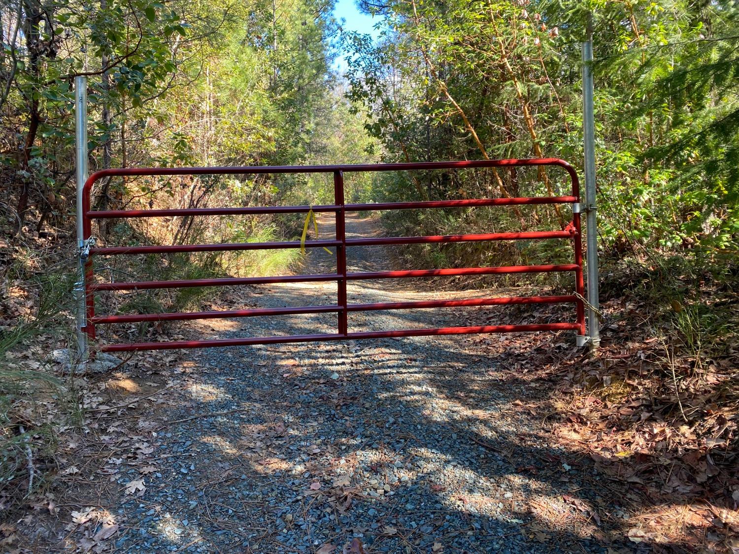 North Bloomfield Road, Nevada City, California image 8