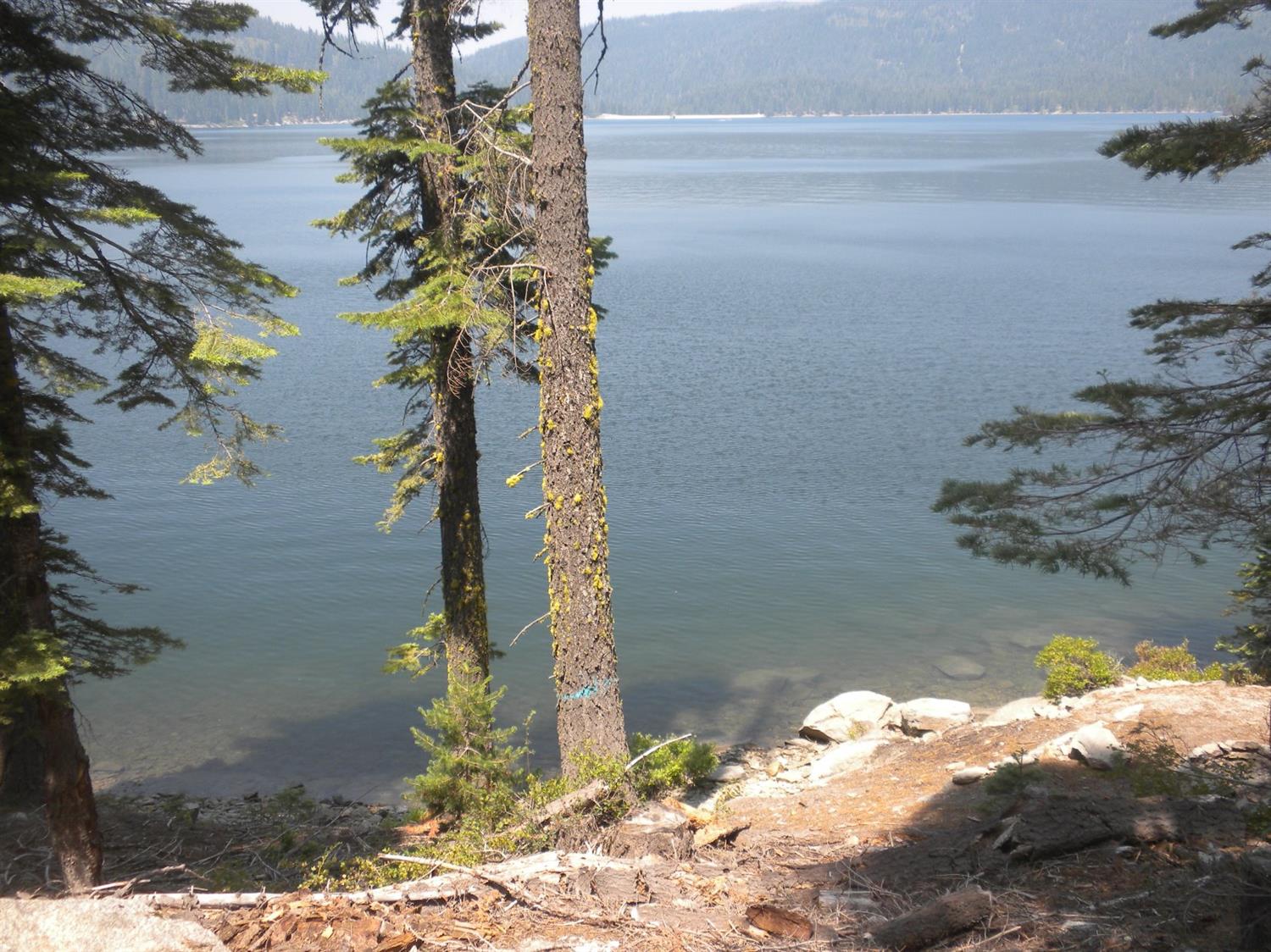 Photo of 822 Mile High Rd in Bucks Lake, CA