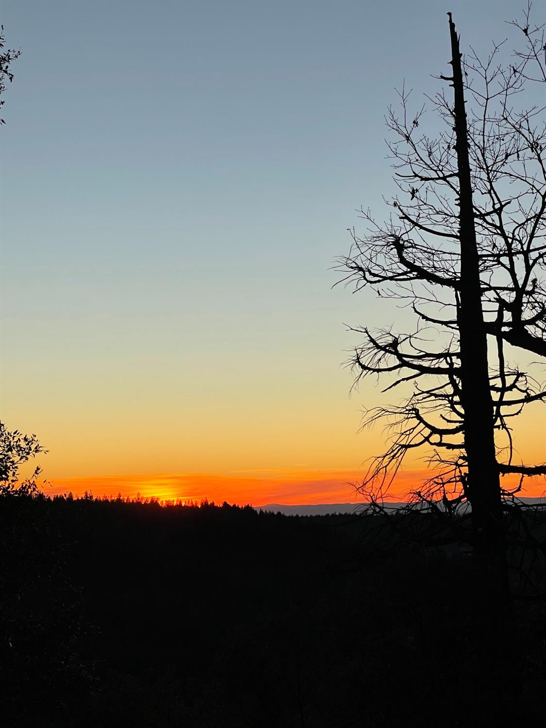 North Bloomfield Road, Nevada City, California image 35