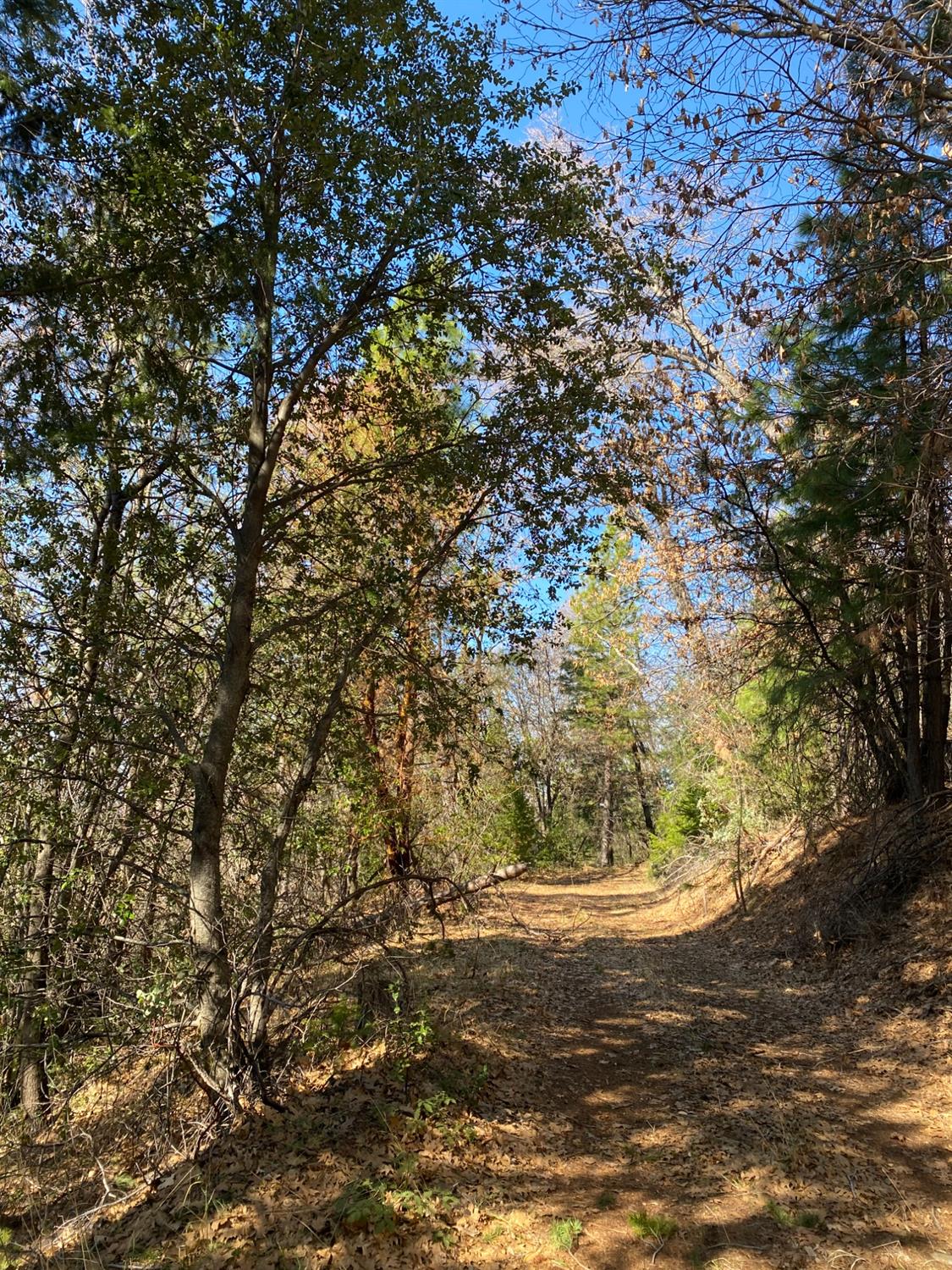 North Bloomfield Road, Nevada City, California image 16