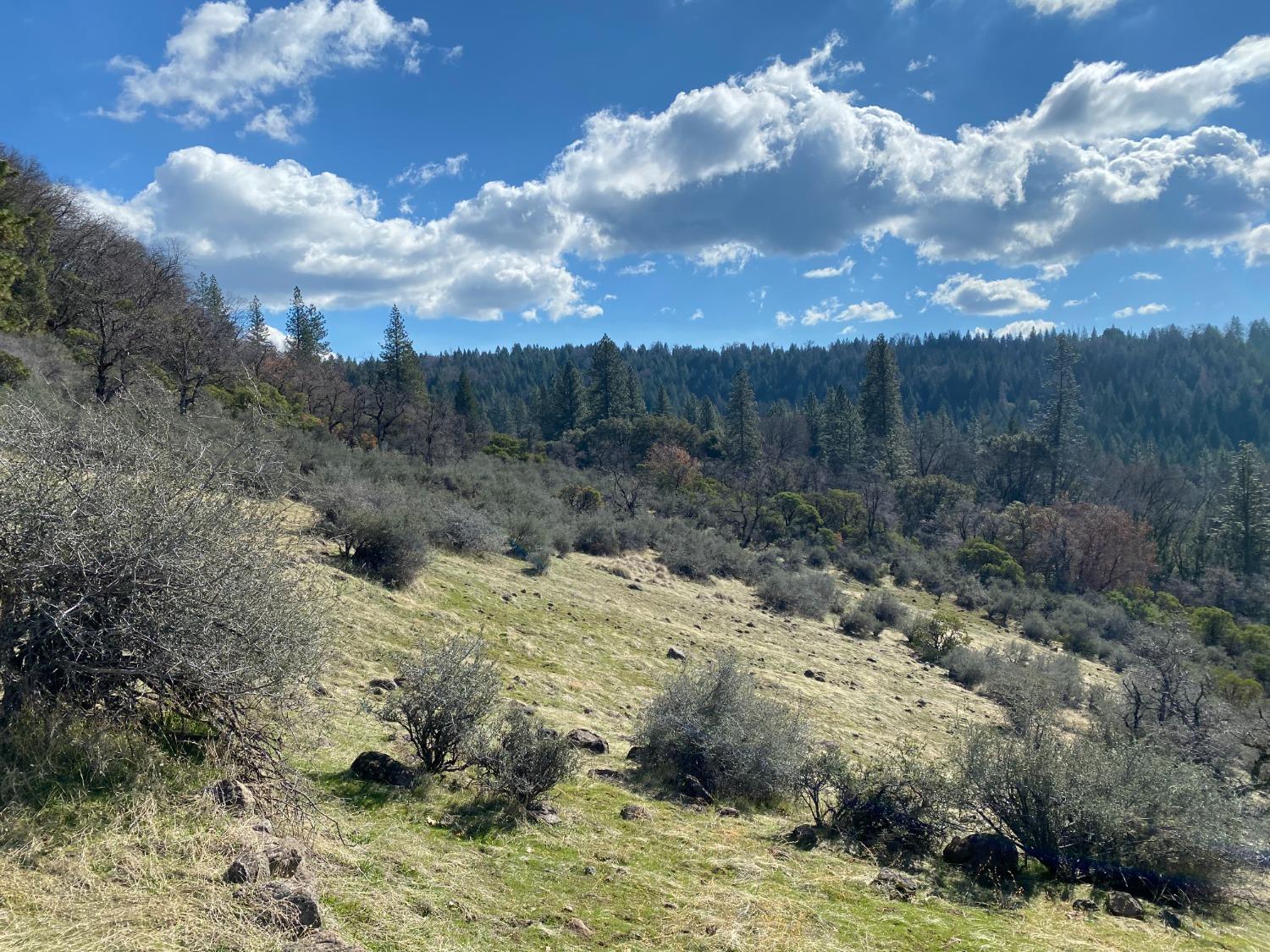 North Bloomfield Road, Nevada City, California image 20