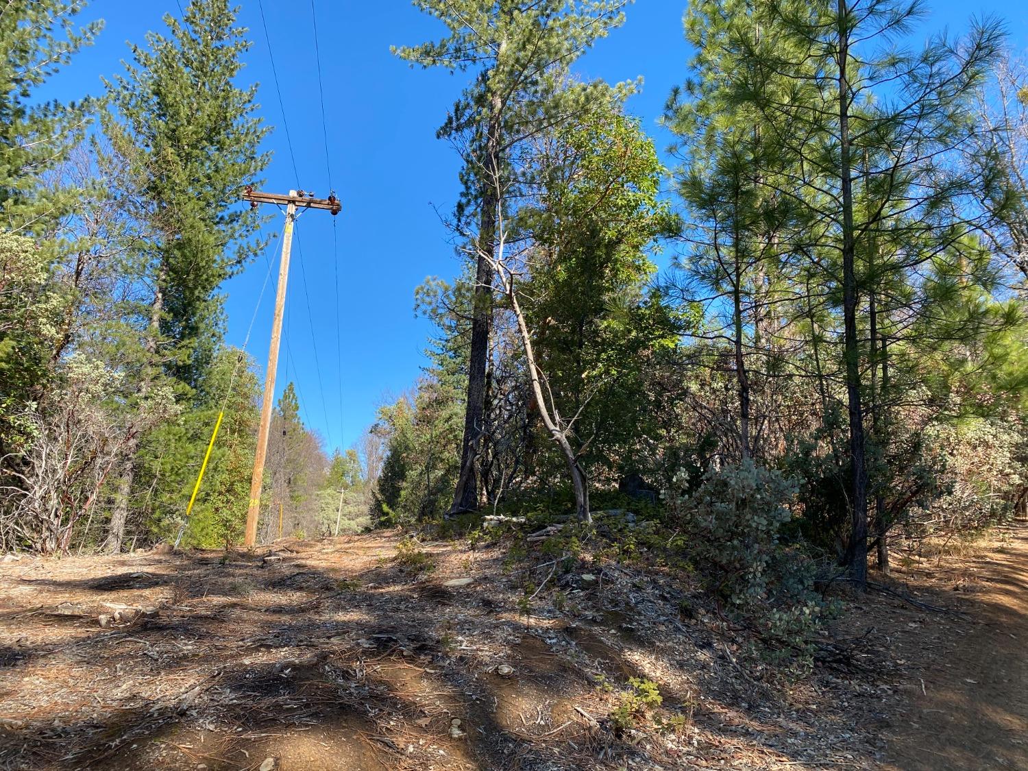 North Bloomfield Road, Nevada City, California image 9