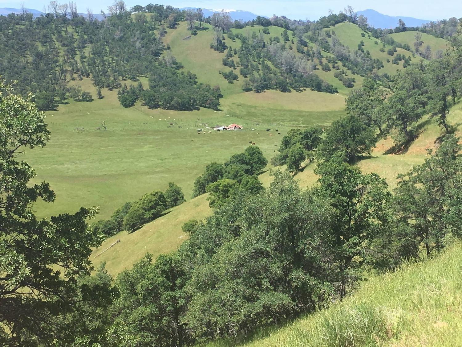 Photo of 0 Leesville Rd in Williams, CA