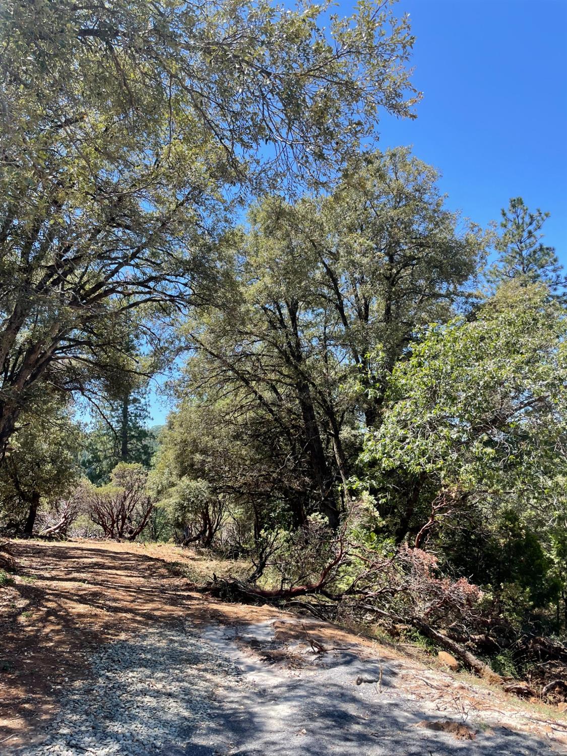 North Bloomfield Road, Nevada City, California image 50