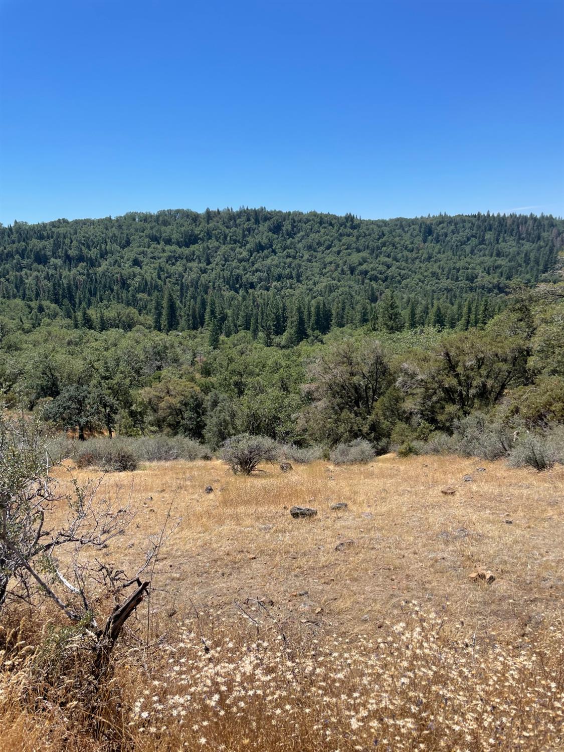 North Bloomfield Road, Nevada City, California image 46