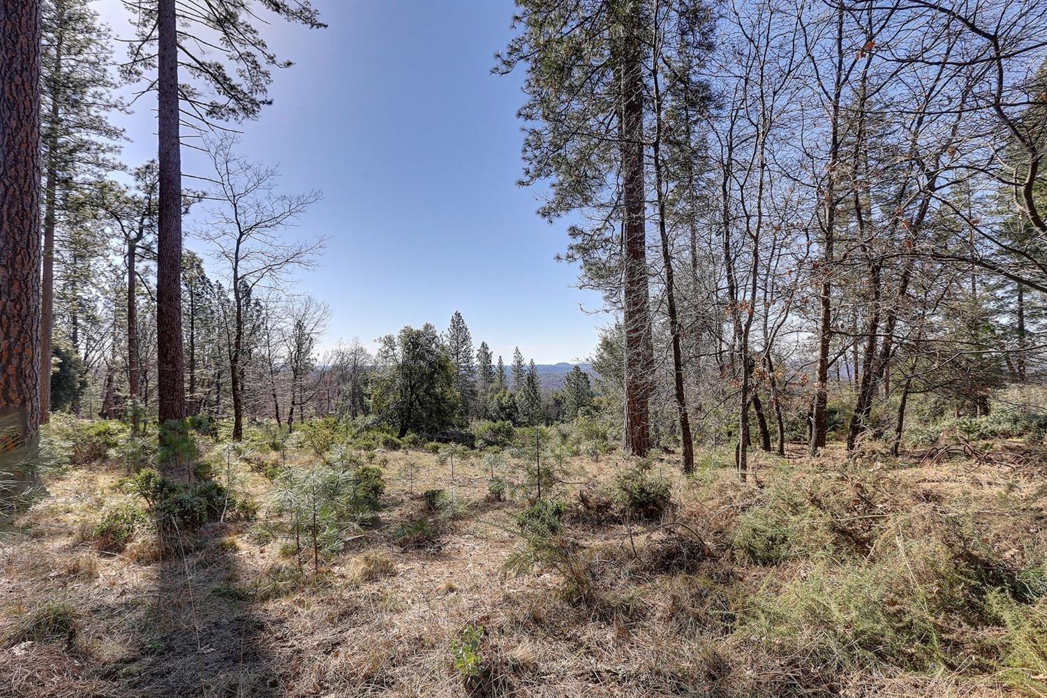 Photo of 14683 Carman Ct in Grass Valley, CA