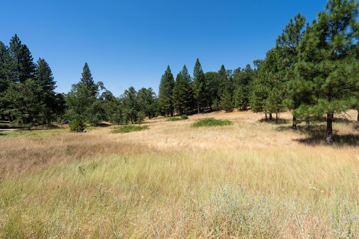 Photo of 25755 State Hwy 88 in Pioneer, CA
