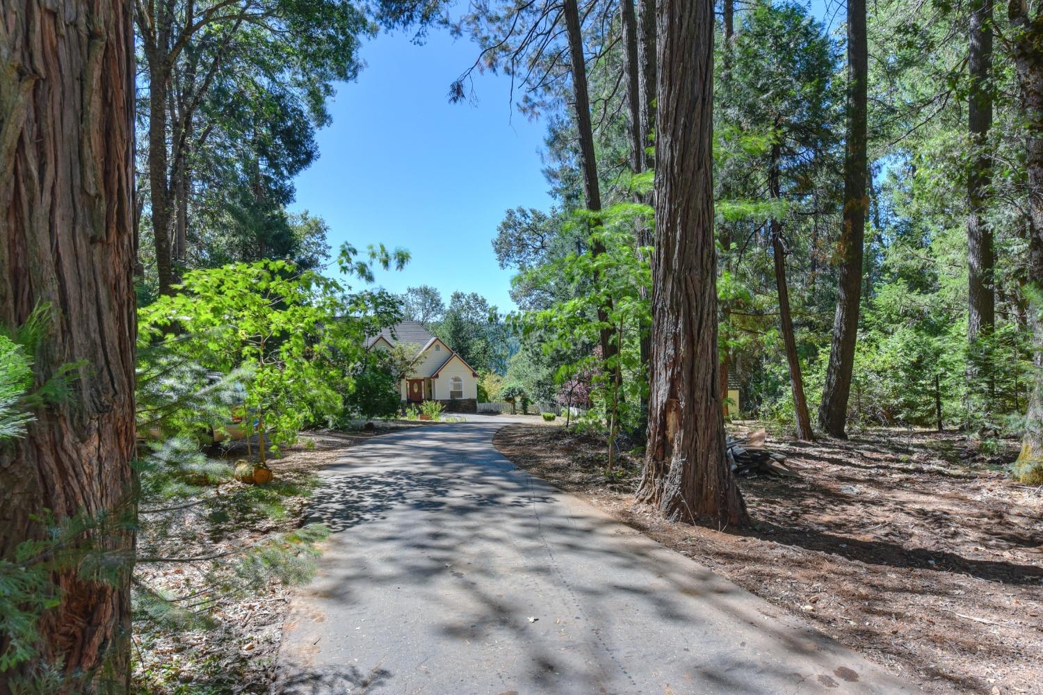 Scotts Flat Road, Nevada City, California image 3