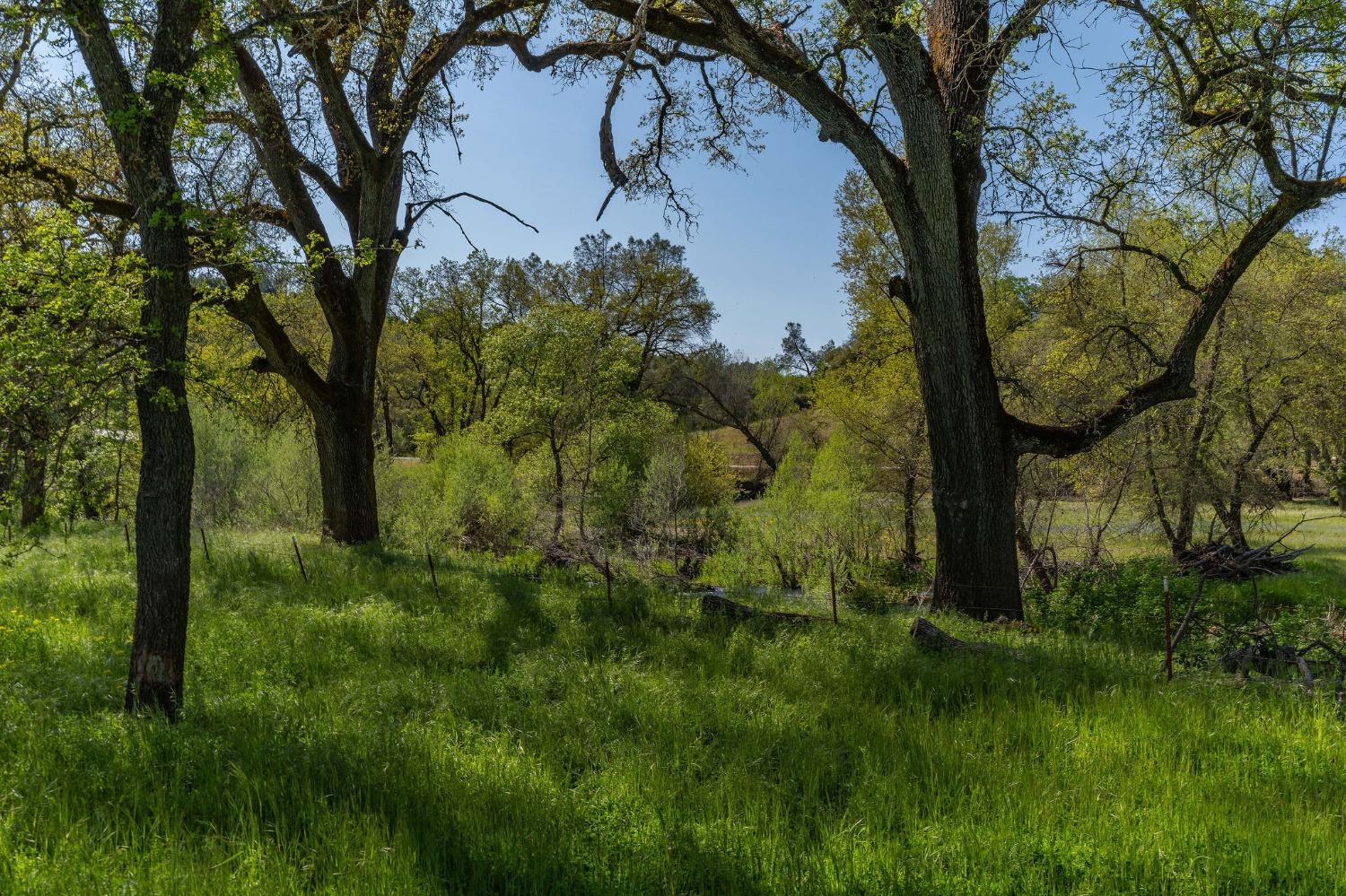 Howard Road, San Andreas, California image 10