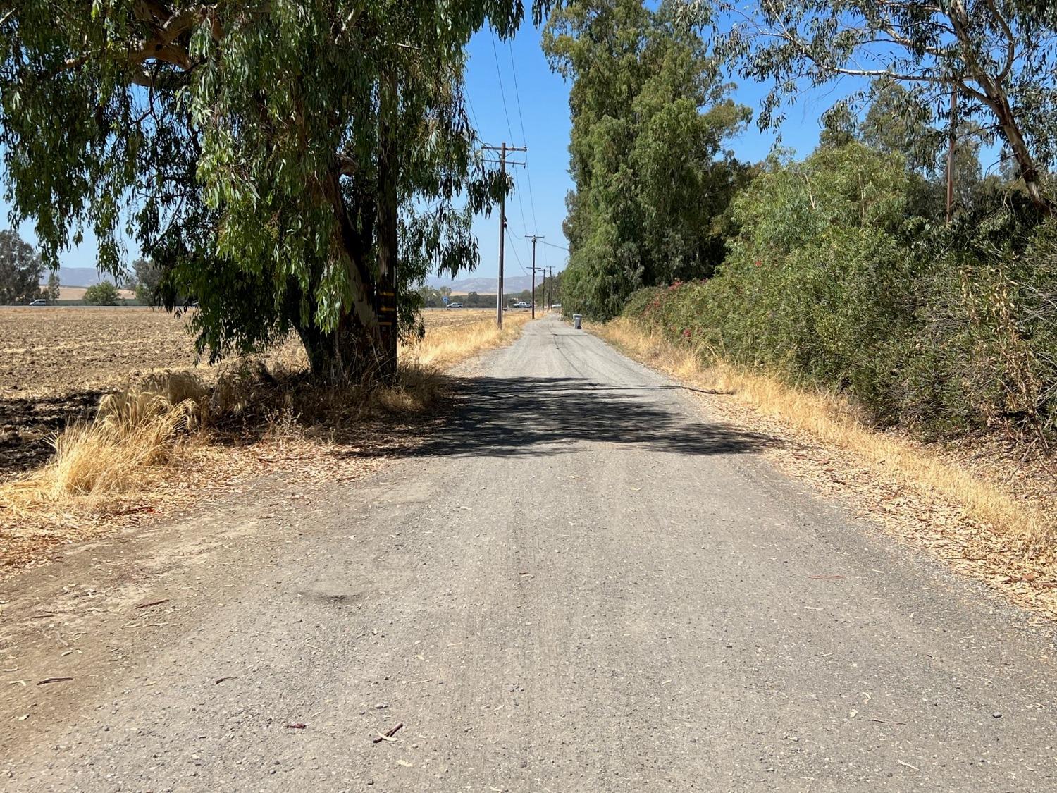 County Road 89, Dunnigan, California image 15