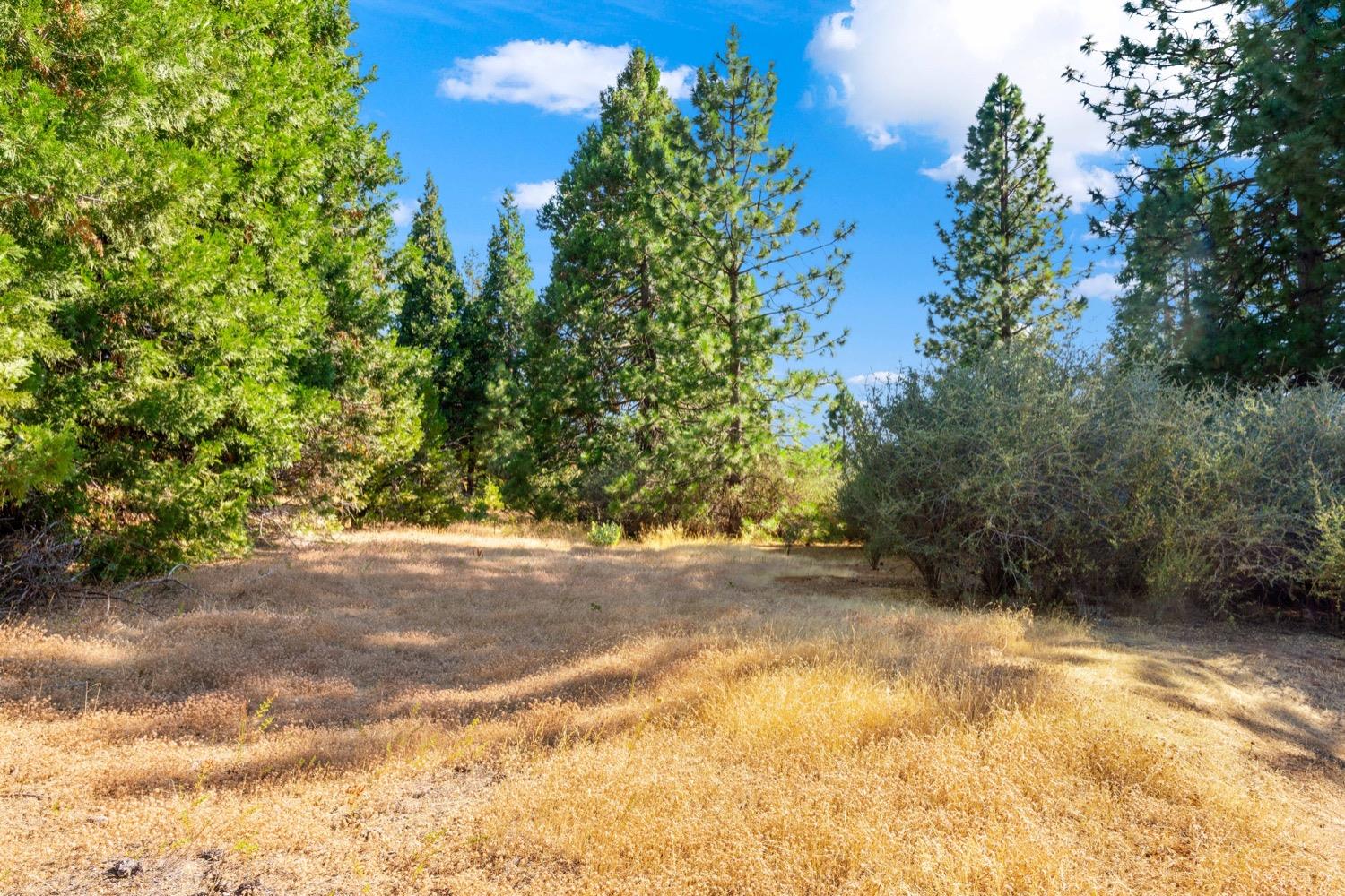 Photo of Vista Tierra Dr in Camino, CA