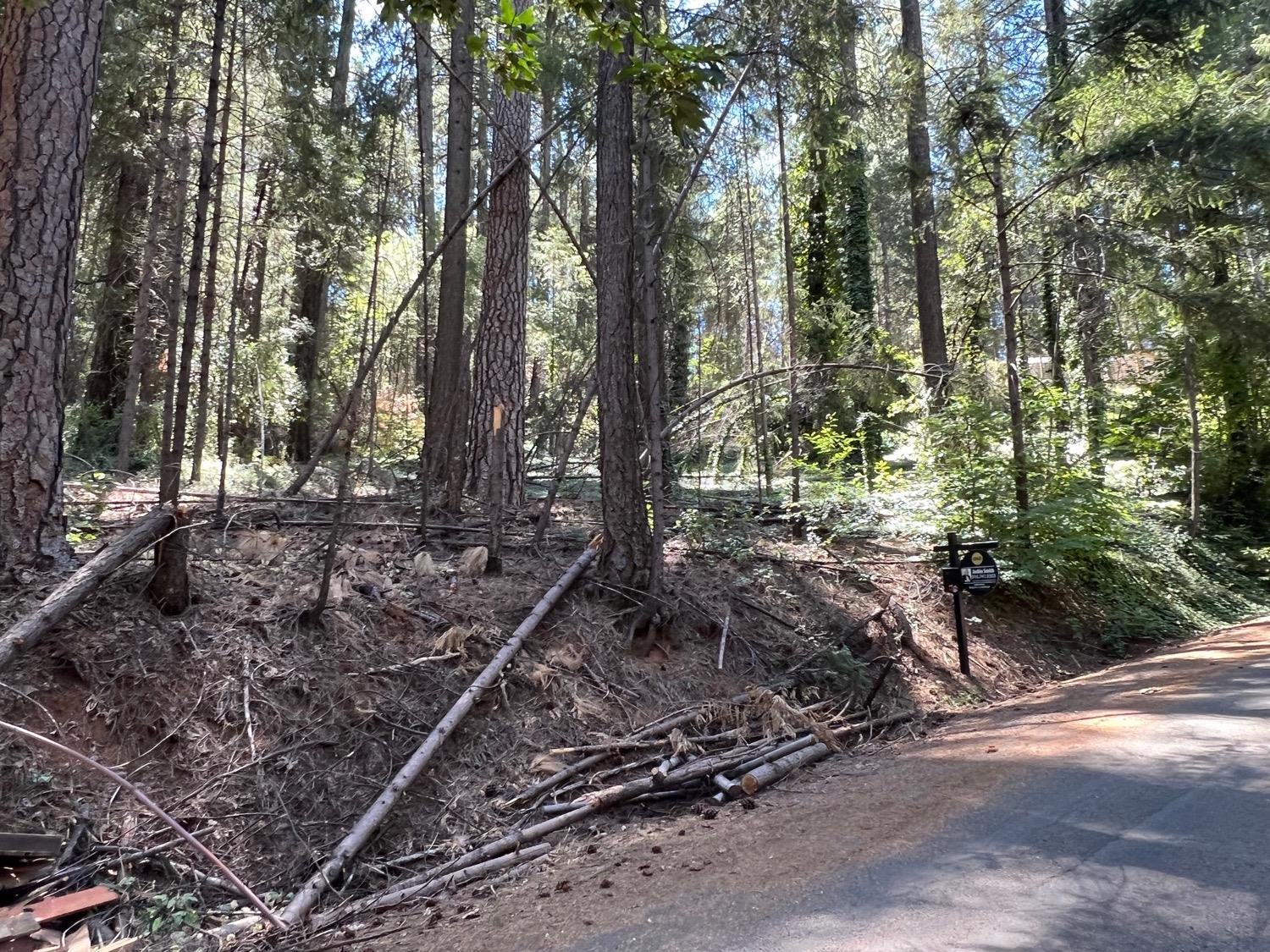Photo of 28040 Manzanita Trl in Colfax, CA