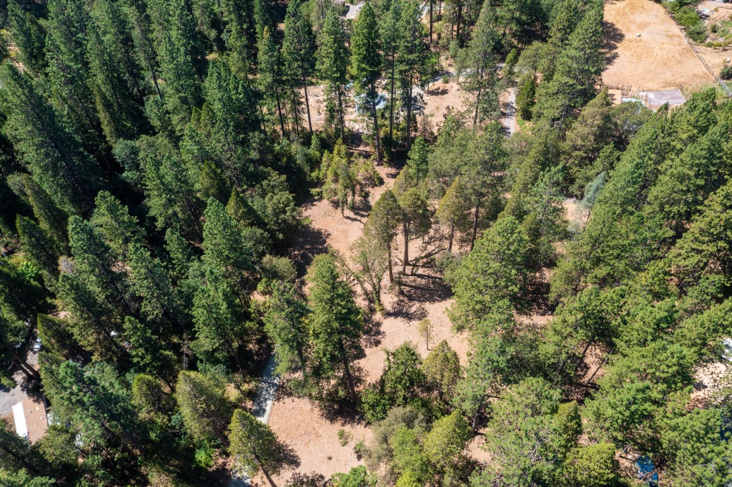 Photo of 15148 Lewis Rd in Nevada City, CA