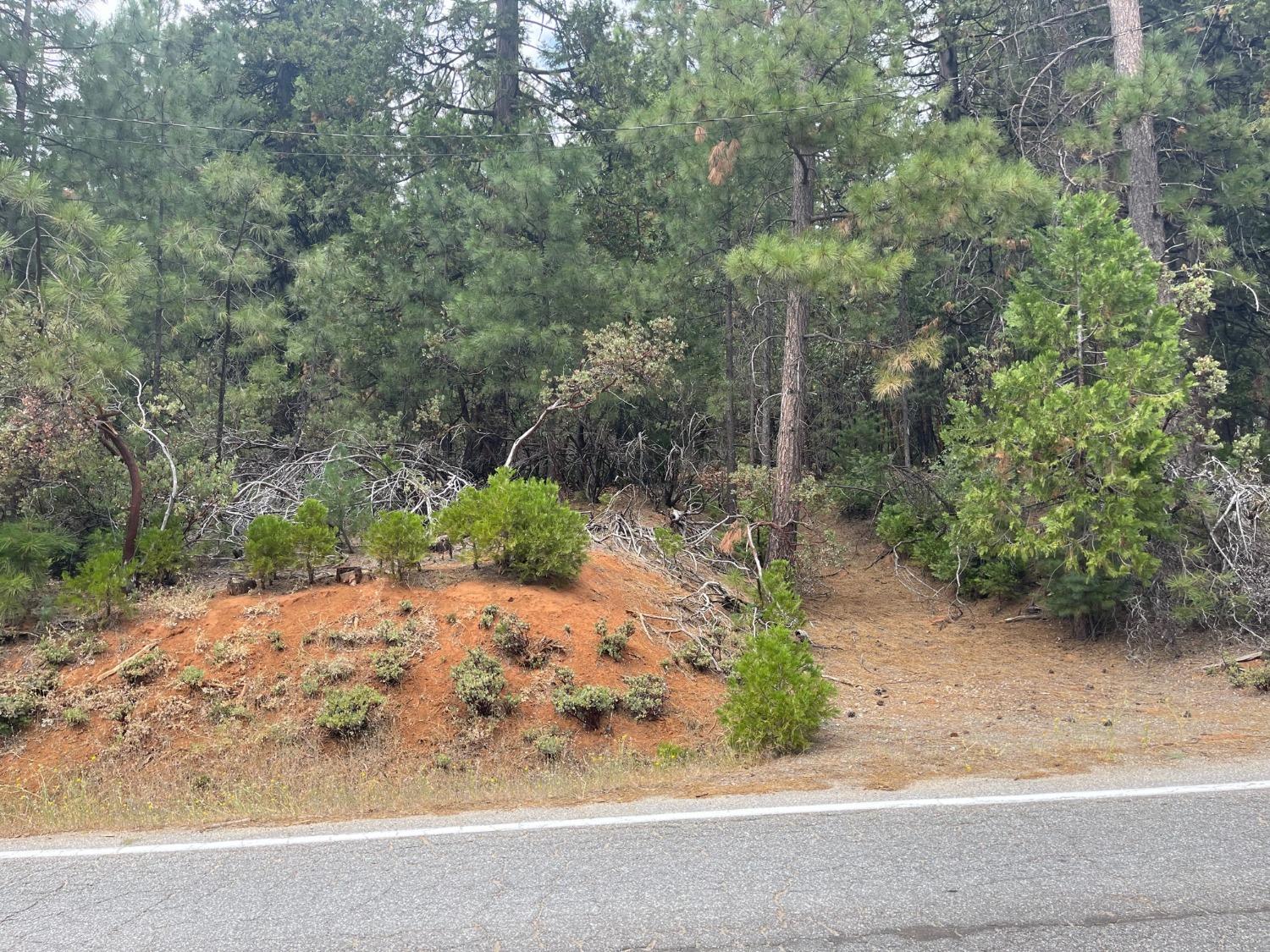 Photo of 26419 Sugar Pine Dr in Pioneer, CA