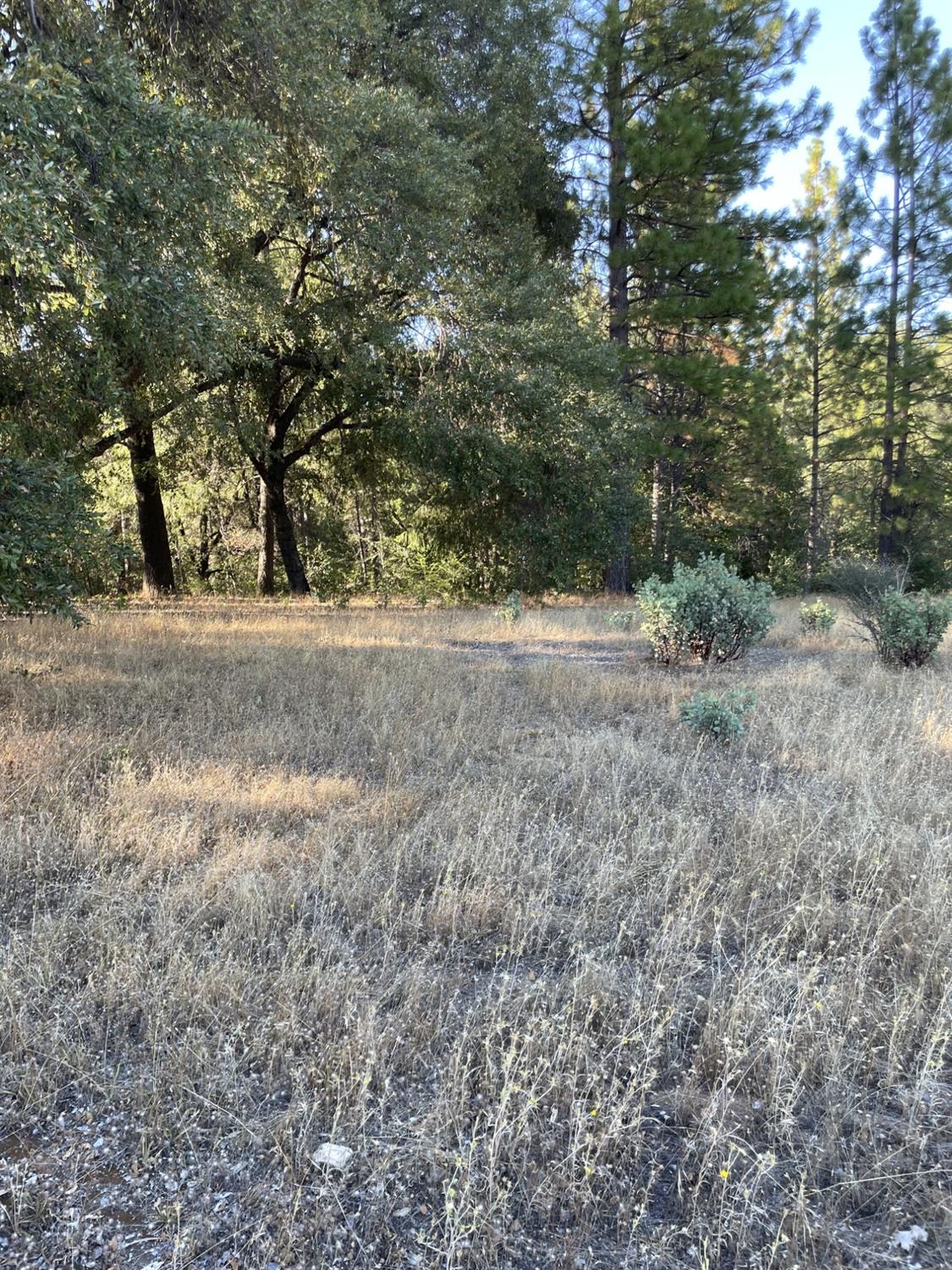 Photo of Canterbury Rd in Pioneer, CA
