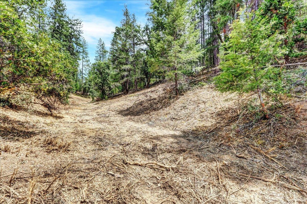 Detail Gallery Image 44 of 79 For 12774 Hoppy Hollow Rd, Grass Valley,  CA 95945 - – Beds | – Baths