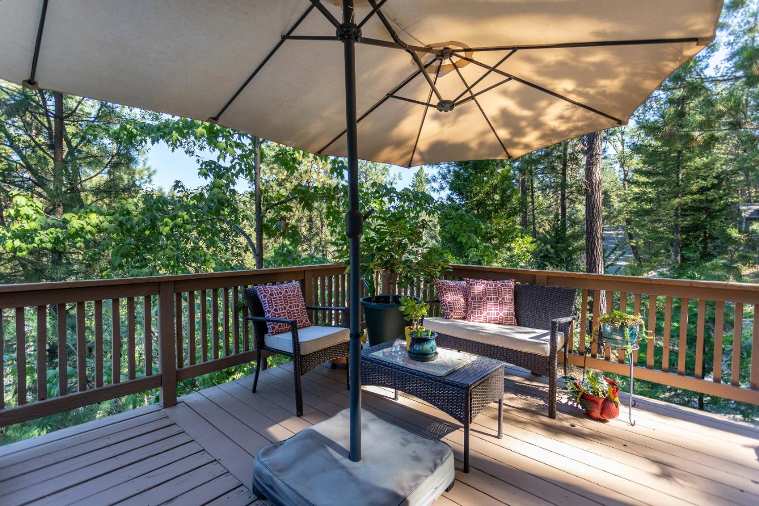Wonderful treetop views