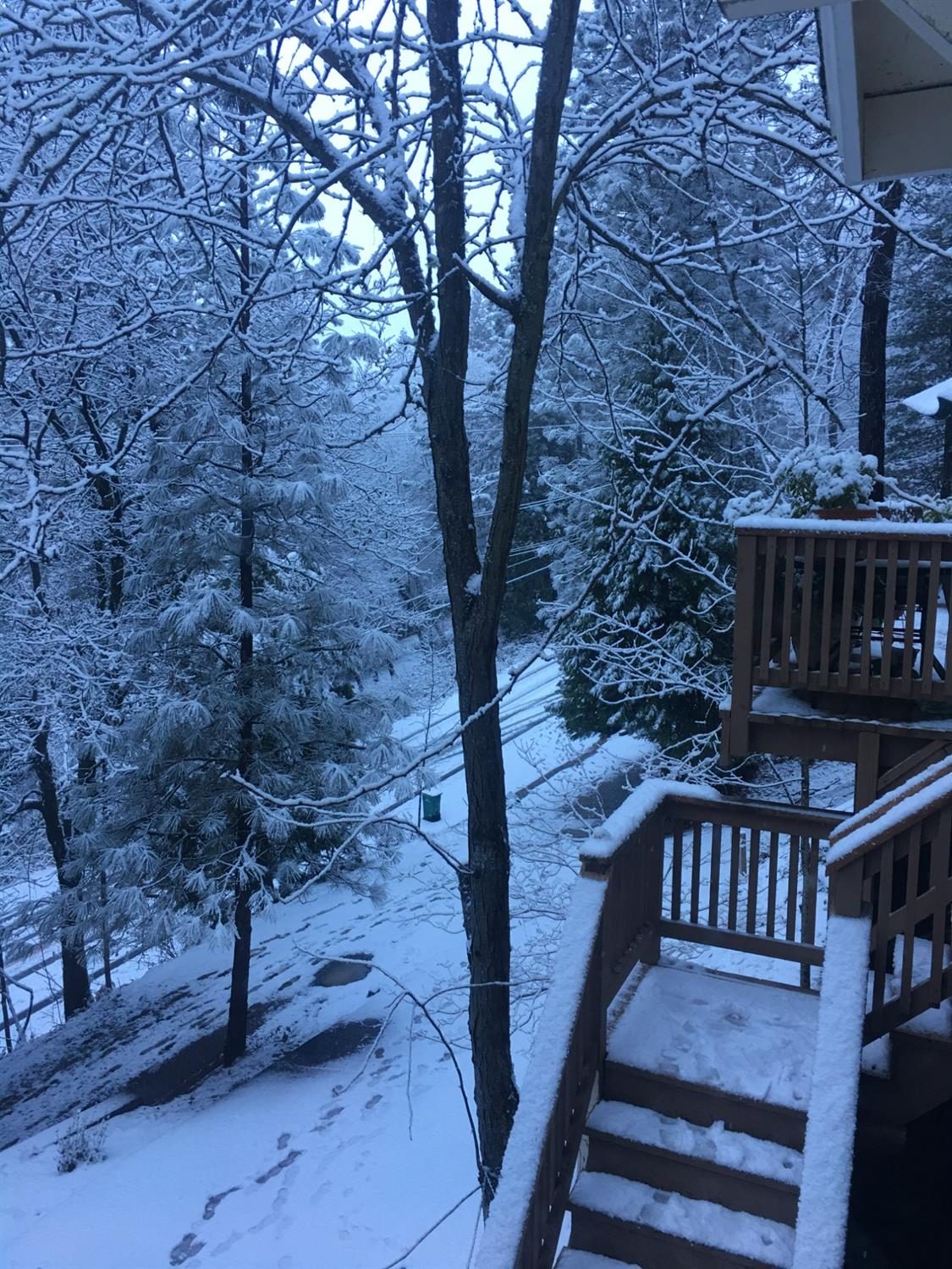 Enjoy winters occasional snow falls