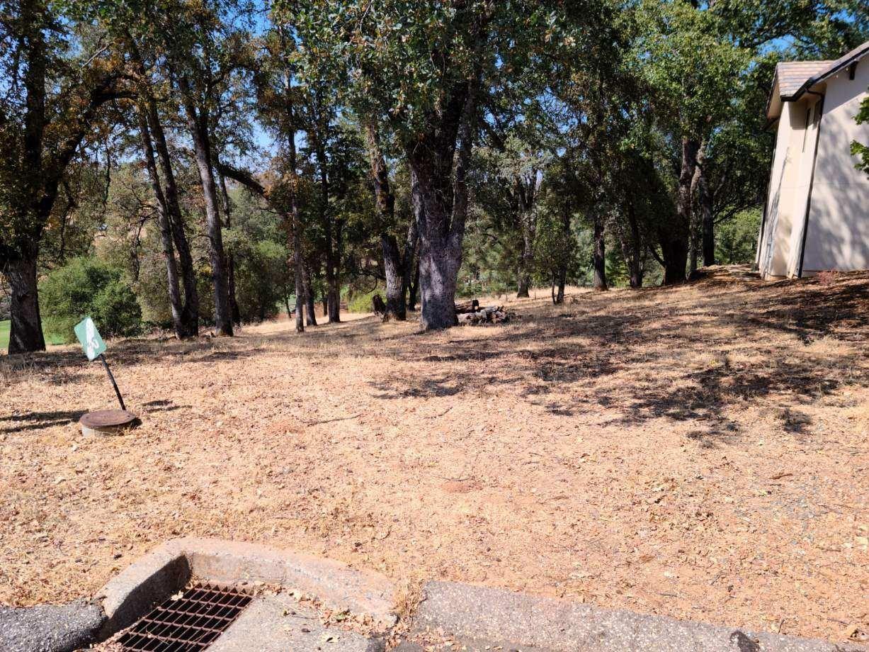 Photo of 12898-Lot 80 Austin Forest Cir in Auburn, CA