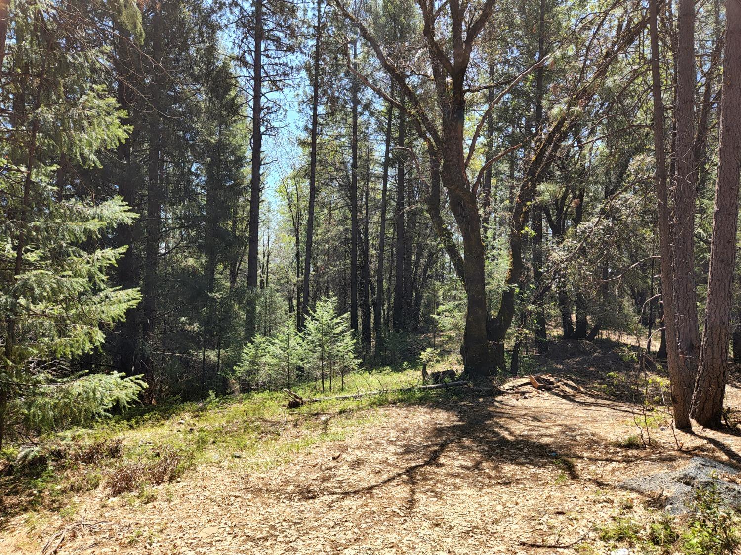 Photo of 18100 Greenhorn Rd in Grass Valley, CA