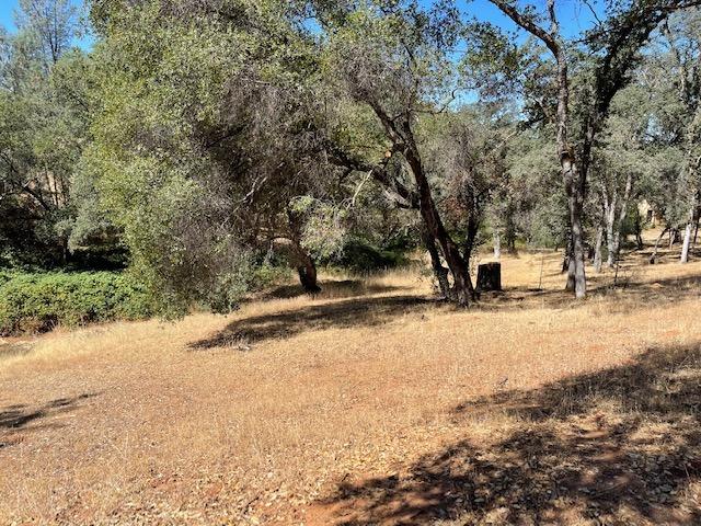 Photo of 12848 Austin Forest Cir in Auburn, CA