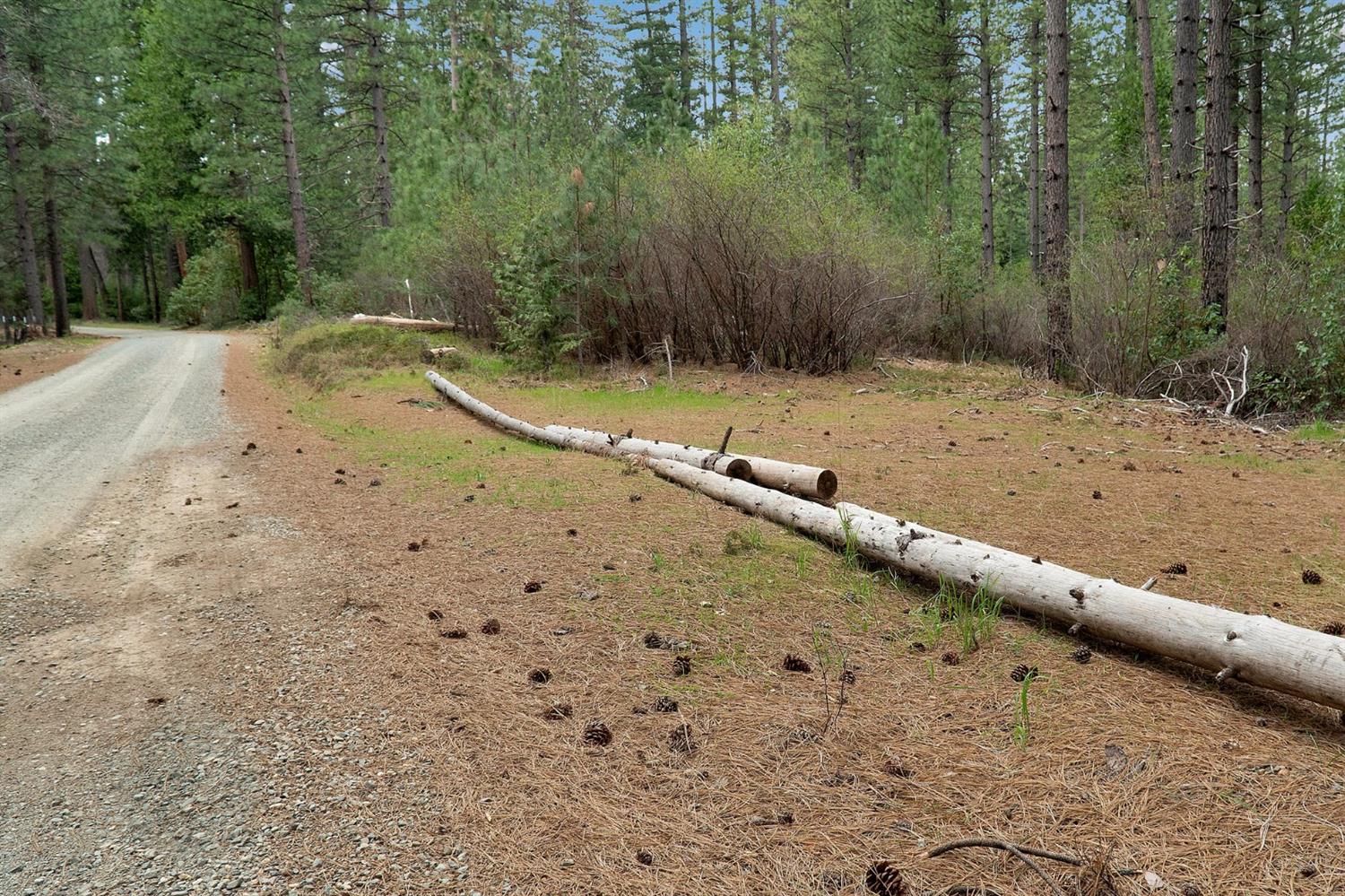 Baker Road, Camptonville, California image 28