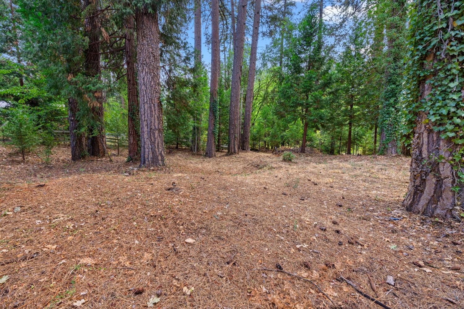Photo of 384 Railroad Ave in Nevada City, CA