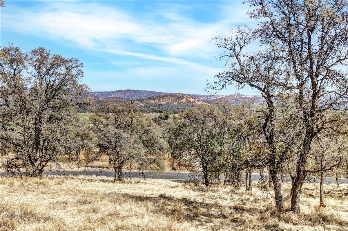 Photo of 37 Stern Ln in Browns Valley, CA