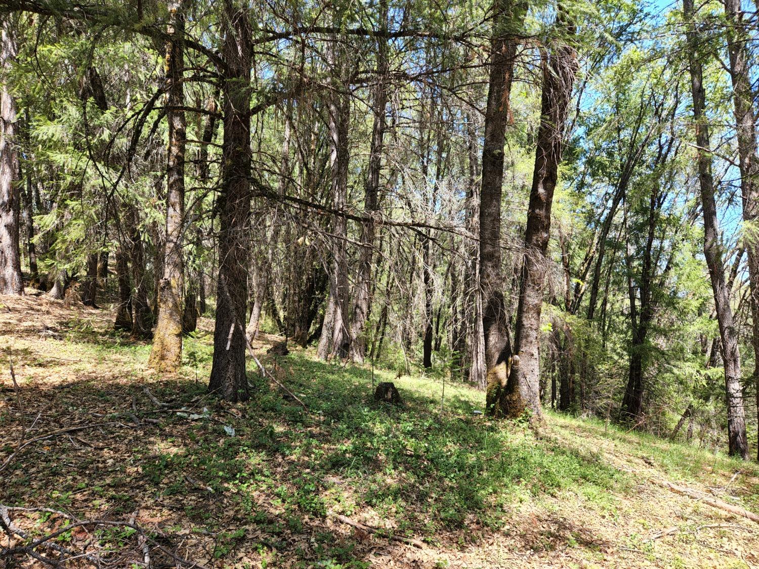 Photo of 18148 Greenhorn Rd in Grass Valley, CA