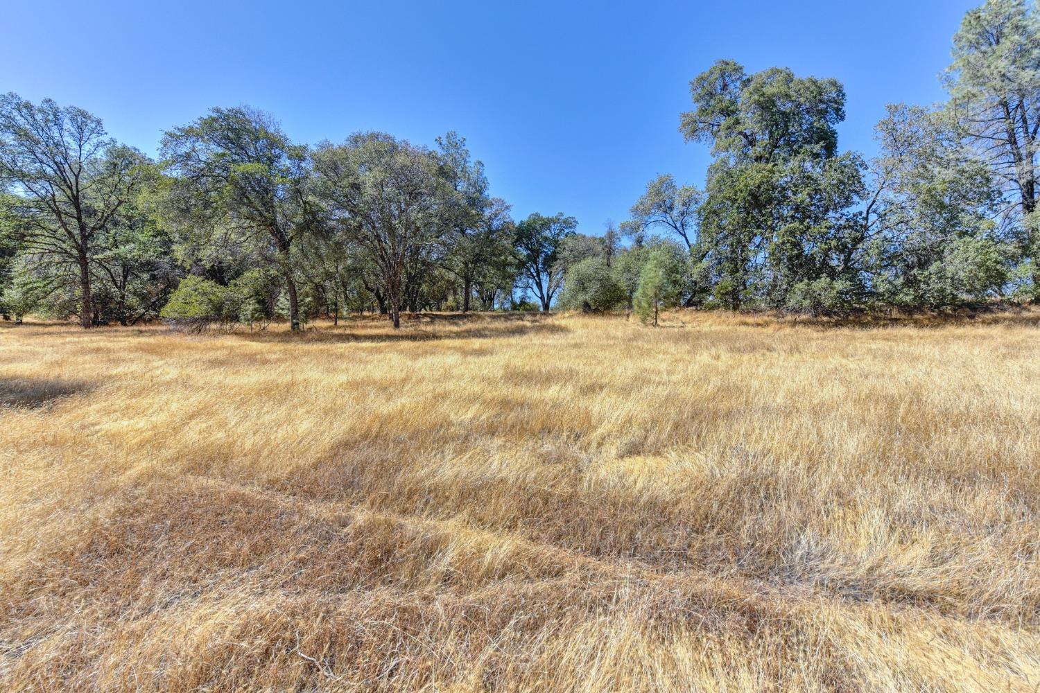 Detail Gallery Image 34 of 55 For 7 State Hwy 49, Diamond Springs,  CA 95619 - – Beds | – Baths