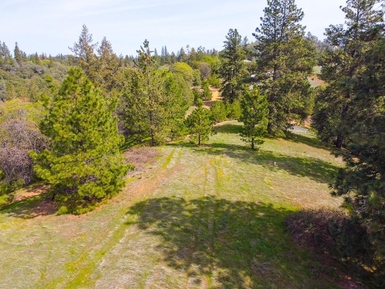 Moffett Ranch Road, Colfax, California image 4