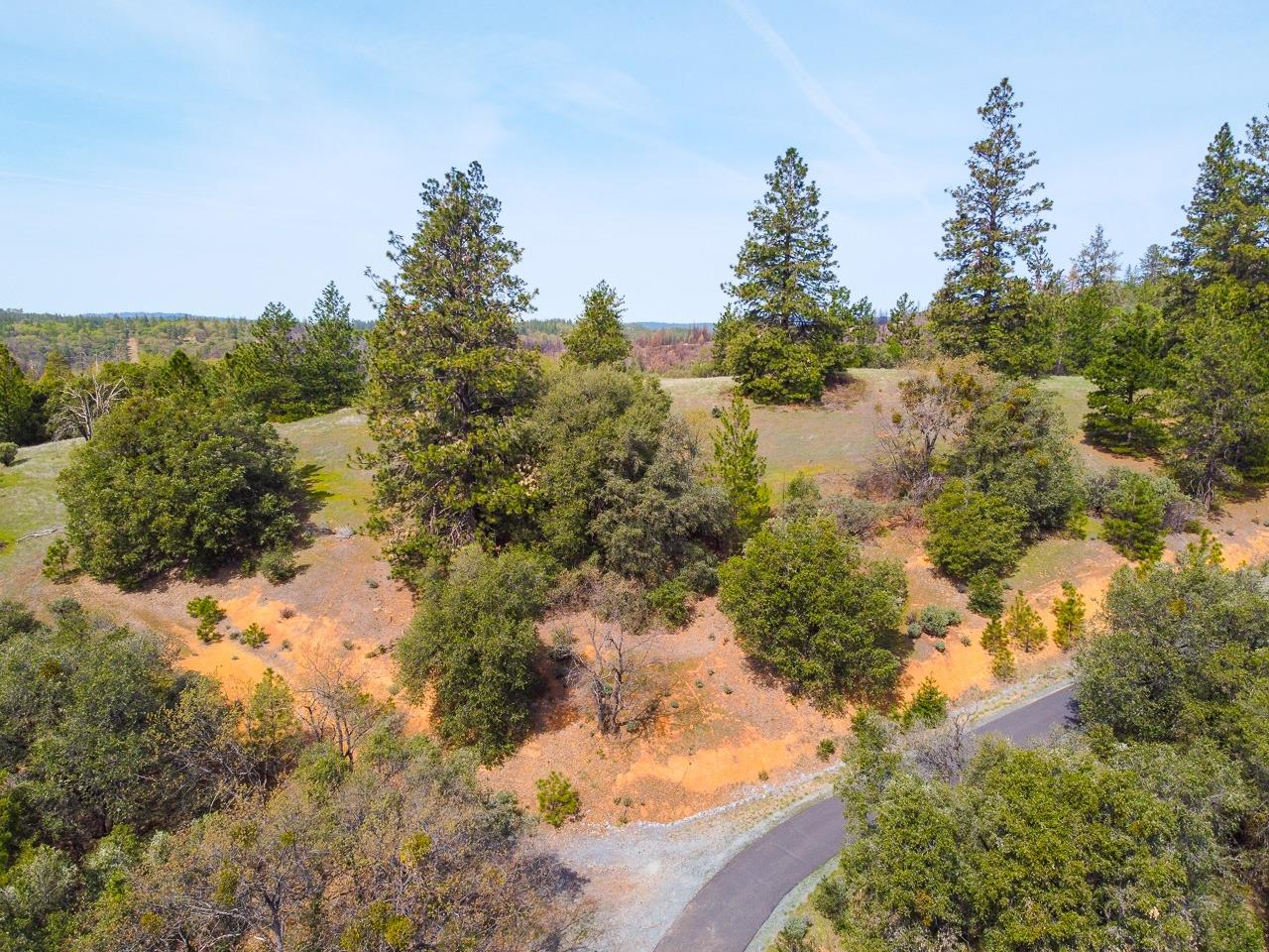 Moffett Ranch Road, Colfax, California image 8