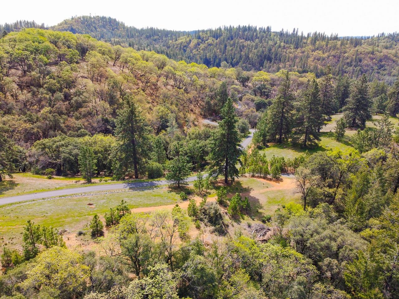 Moffett Ranch Road, Colfax, California image 9