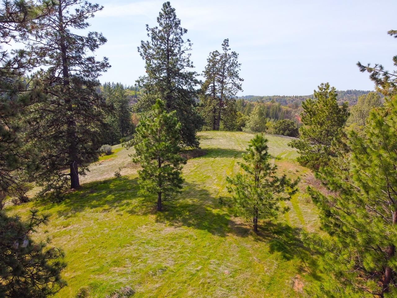 Moffett Ranch Road, Colfax, California image 5