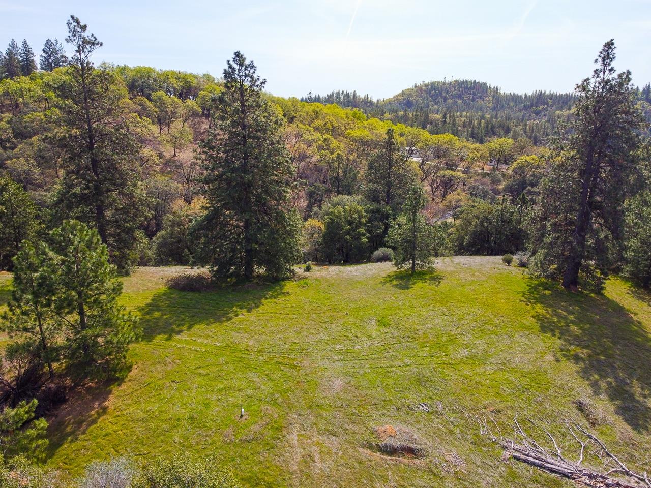 Moffett Ranch Road, Colfax, California image 6