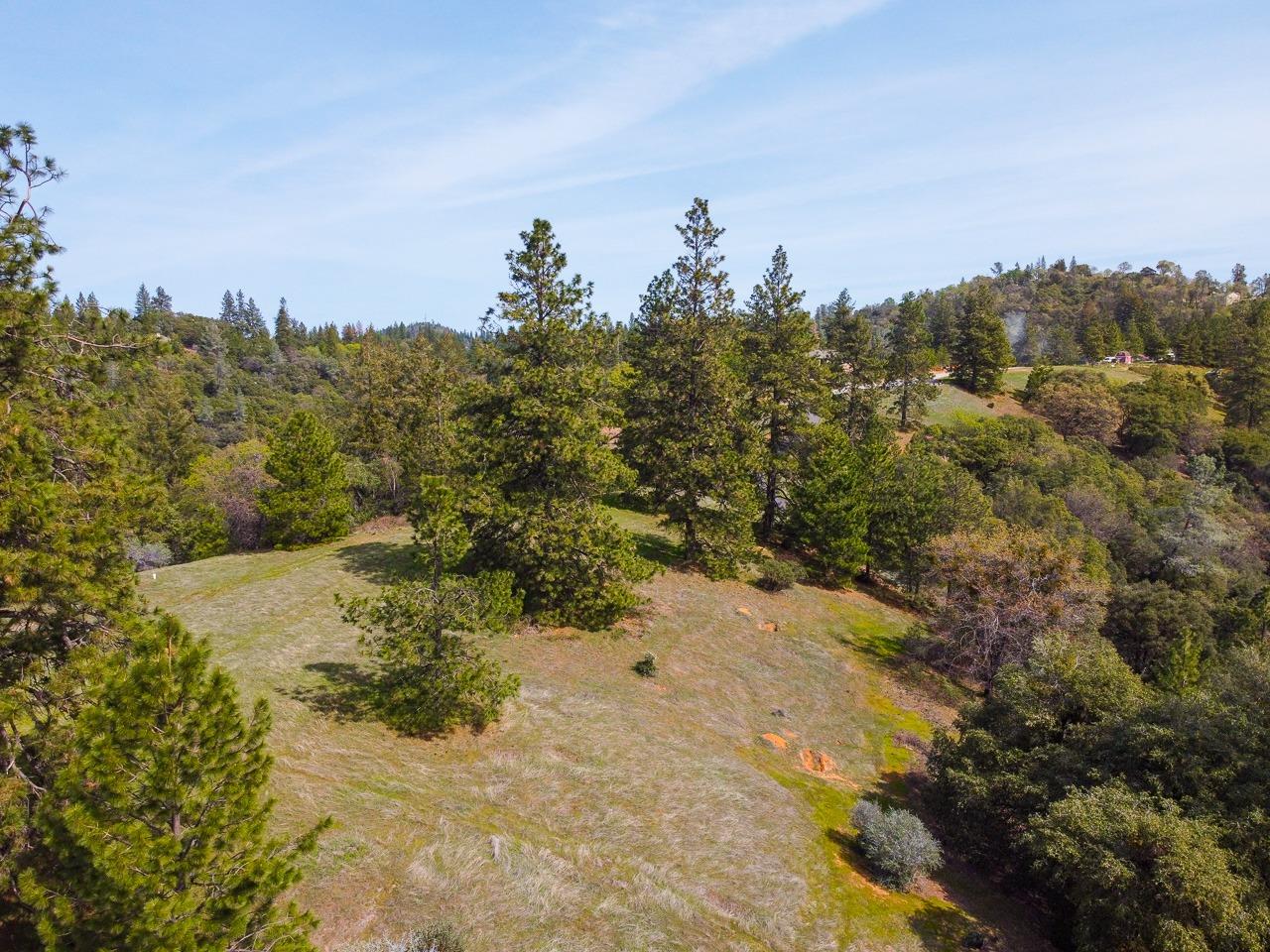 Moffett Ranch Road, Colfax, California image 2