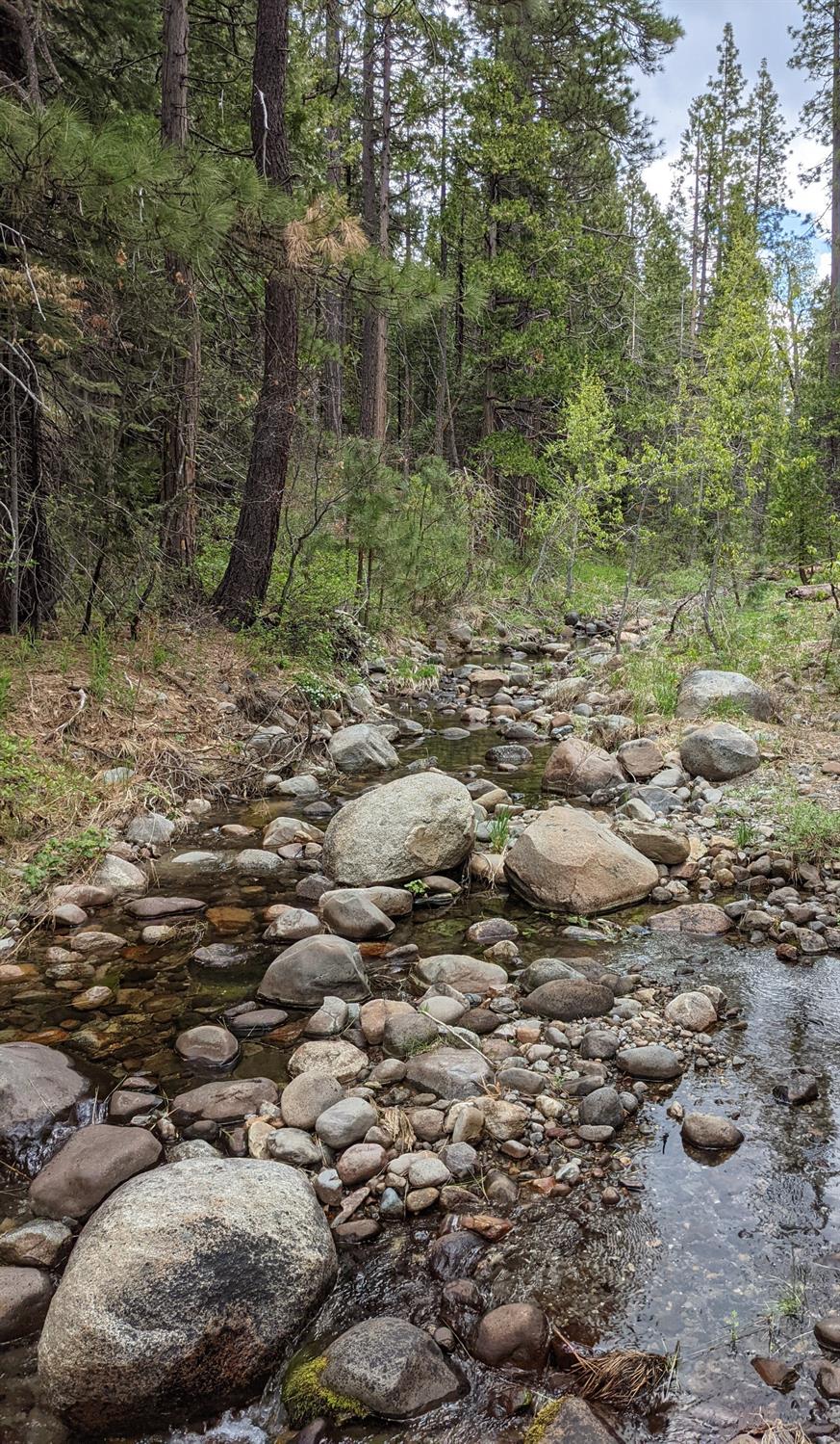 Photo of 4 8 Acres Off The Grid in Emigrant Gap, CA