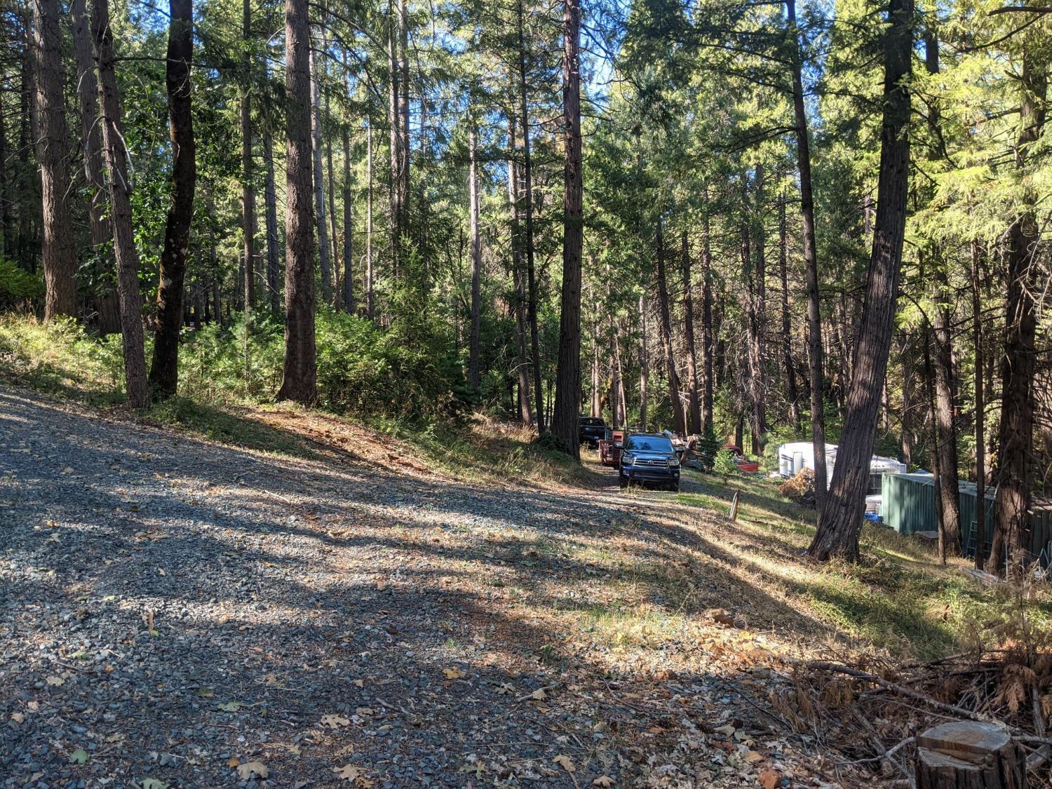 Detail Gallery Image 14 of 25 For 12771 Lost Lake Rd, Grass Valley,  CA 95945 - – Beds | – Baths