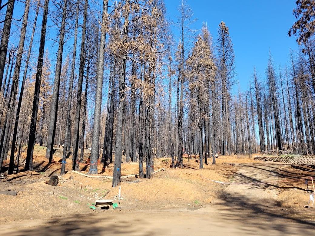 Photo of 5144 String Canyon Ct in Grizzly Flats, CA
