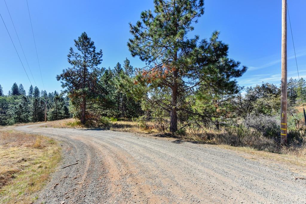 Mac Leod Trail, Georgetown, California image 2