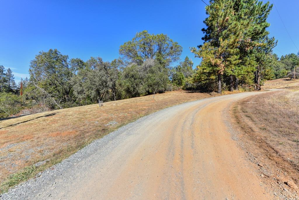 Mac Leod Trail, Georgetown, California image 3