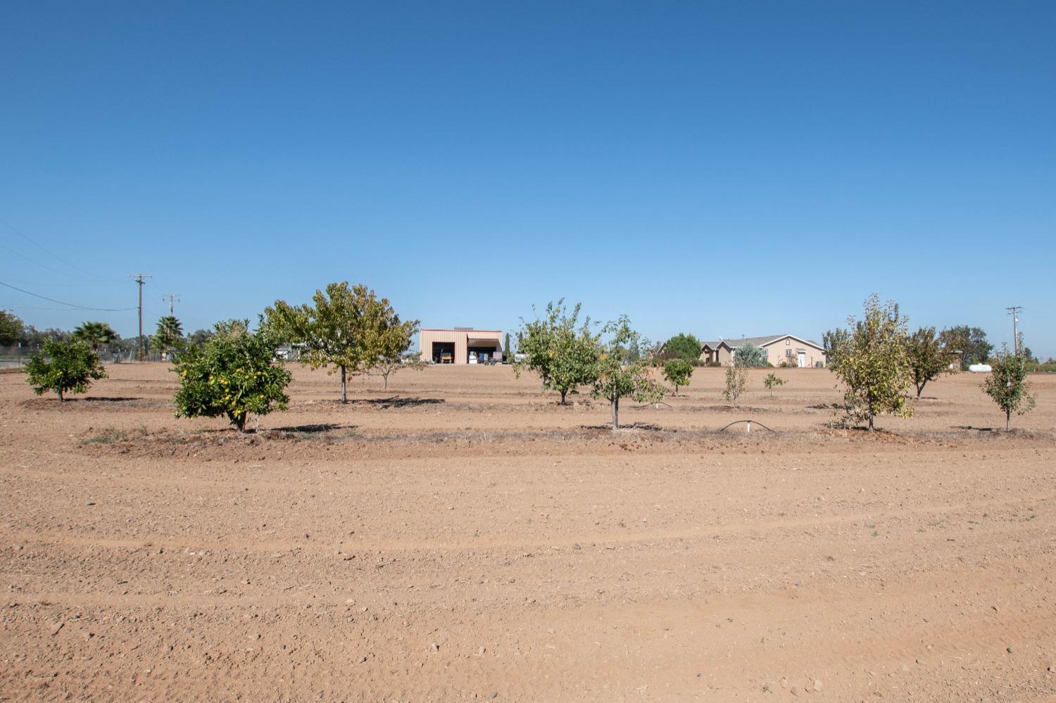 Louise Lane, Woodland, California image 50