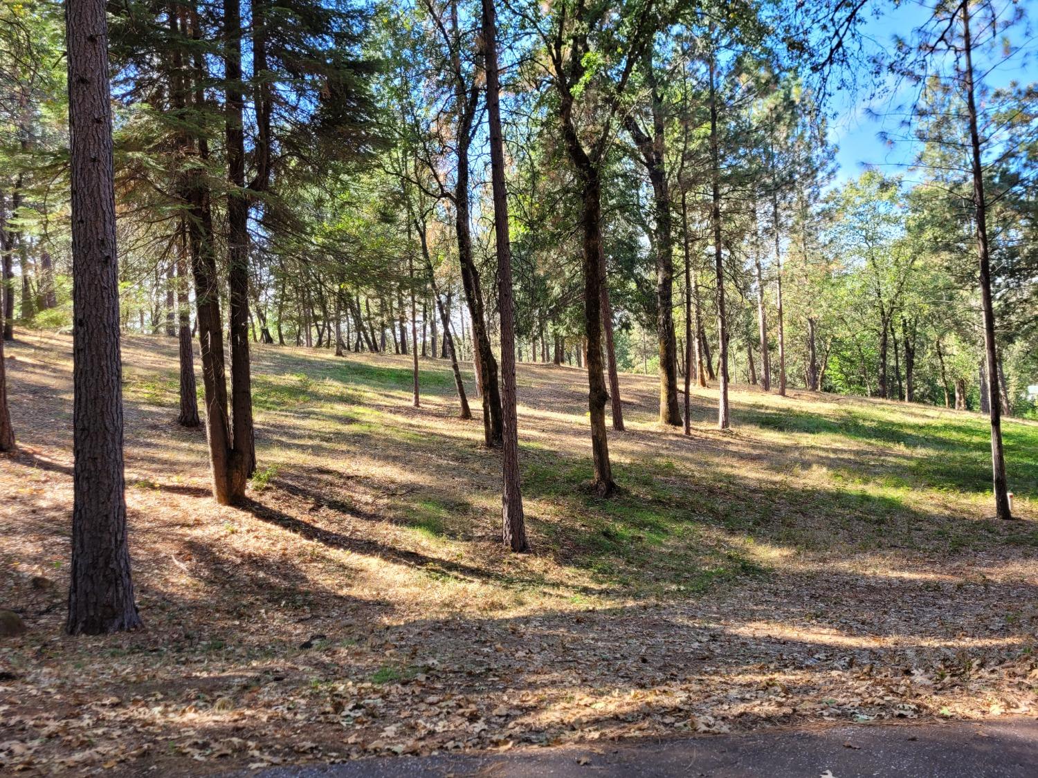 Photo of 15956 Gibboney Ln in Grass Valley, CA