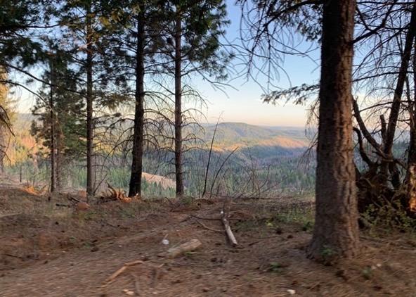 Photo of 15179 Woolford Mill Rd in Nevada City, CA