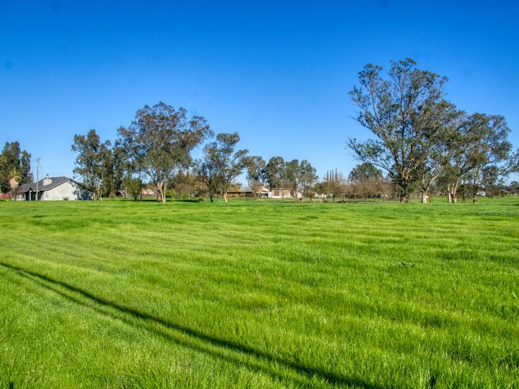 Elwyn Avenue, Elverta, California image 8