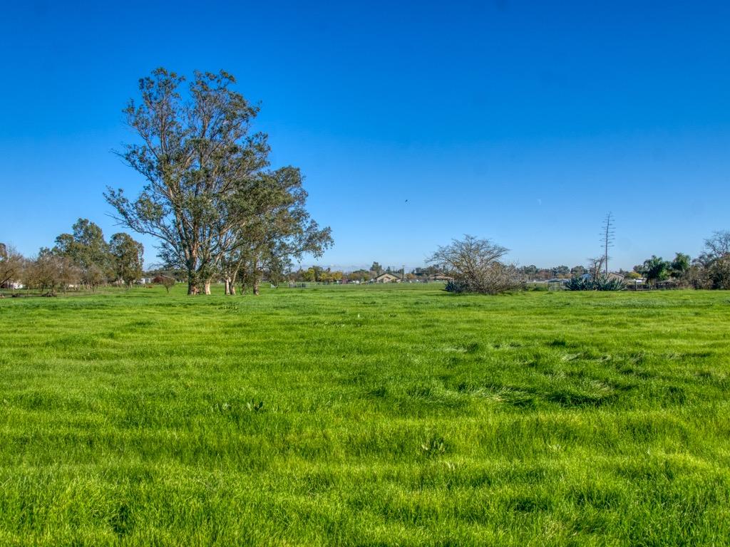 Elwyn Avenue, Elverta, California image 9