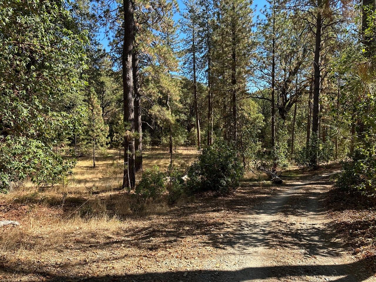 Photo of 14821 Blind Shady Rd in Nevada City, CA